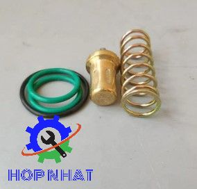 2205490592 Thermostat Valve Service Kit for Liutech Air Compressor Repair Parts
